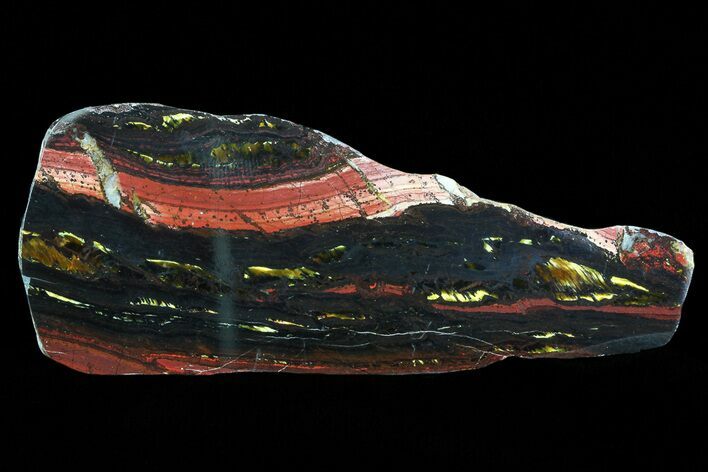 Polished Tiger Iron Stromatolite - ( Billion Years) #75823